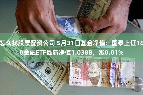 怎么找股票配资公司 5月31日基金净值：国泰上证180金融ETF最新净值1.0388，涨0.01%