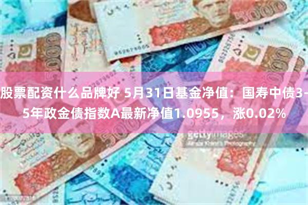 股票配资什么品牌好 5月31日基金净值：国寿中债3-5年政金债指数A最新净值1.0955，涨0.02%