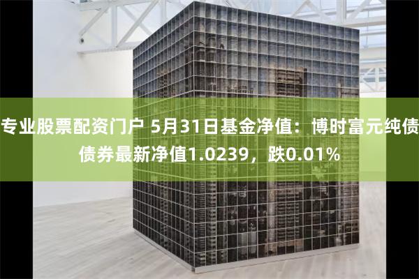 专业股票配资门户 5月31日基金净值：博时富元纯债债券最新净值1.0239，跌0.01%