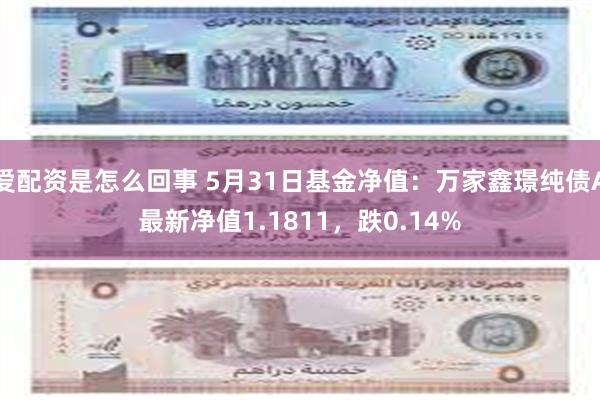 爱配资是怎么回事 5月31日基金净值：万家鑫璟纯债A最新净值1.1811，跌0.14%